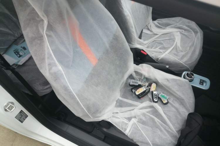 Used Geely Galaxy Panda 2024 Panda Mini 200km Endurance Bear