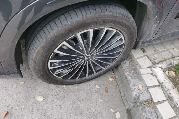 Used Dongfeng Aeolus L8 2025 Model 112KM Dream Edition Exterior 4