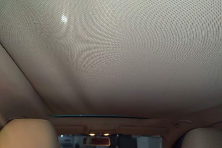 Used Volkswagen Tiguan 2010 2.0 TSI Automatic All-Wheel-Drive Elite Edition Headliner