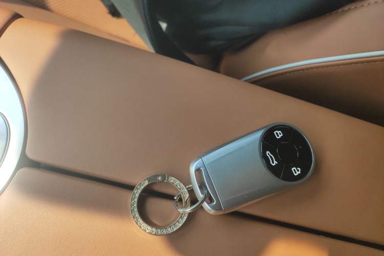 Used ORA Lightning Cat 2022 555 km Luxury Edition Interior 1