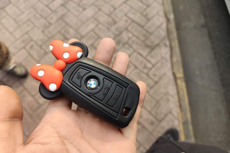 Used BMW 3 Series 2016 316i Fashion Model
