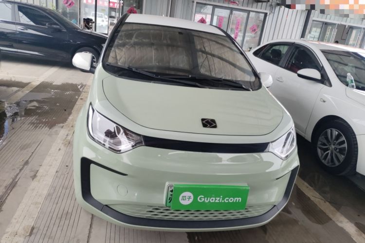 Used SOL E10X 2022 Flower Fairy Design Four-Leaf Clover