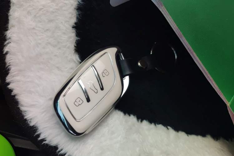 Used Roewe Clever 2021 302km Excellence Edition