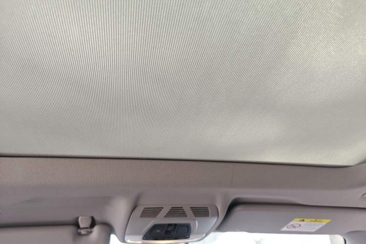 Used BMW X1 New Energy 2018 xDrive25Le Luxury Model Headliner