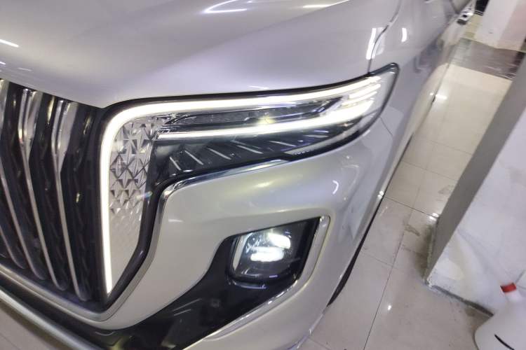 Used Hongqi HQ9 2023 2.0T Smart Connect Flagship Edition