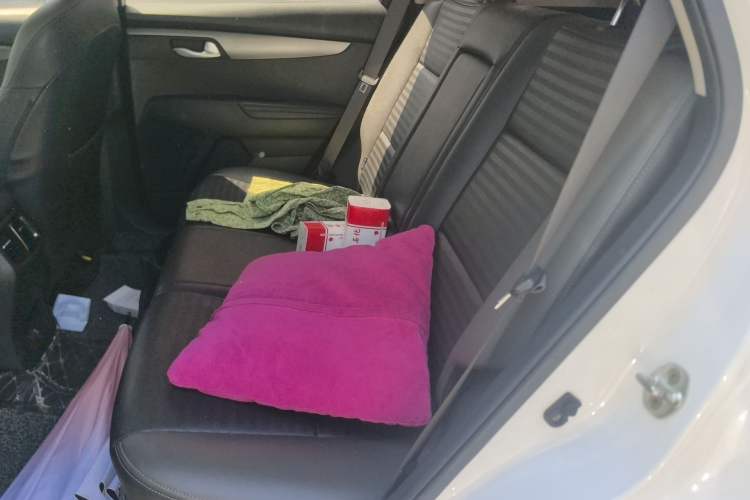 Used Kia Sportage R 2019 2.0L Automatic Smart Luxury Edition Left Rear Seat