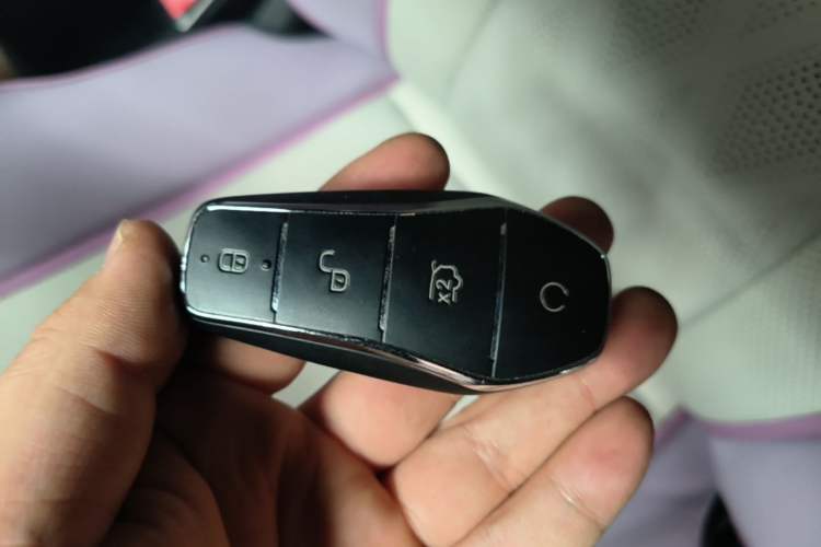 Used BYD Dolphin 2023 420 km Free Version Vehicle Key