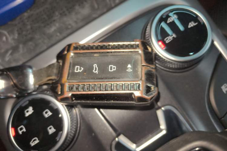 Used Tank 300 2024 2.0T Conqueror
