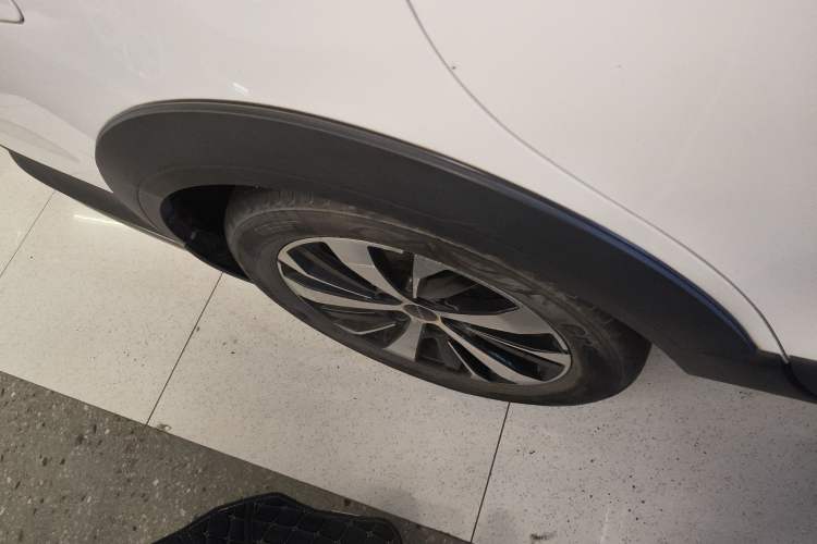 Used FORTHING SX6 2019 1.6L Manual Luxury Model China VI Standard
