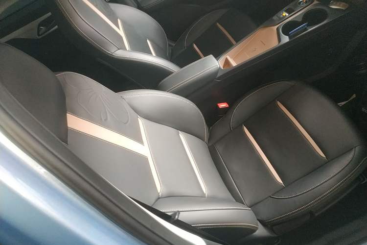 Used SOL E10X 2022 Flower Fairy Design Four-Leaf Clover