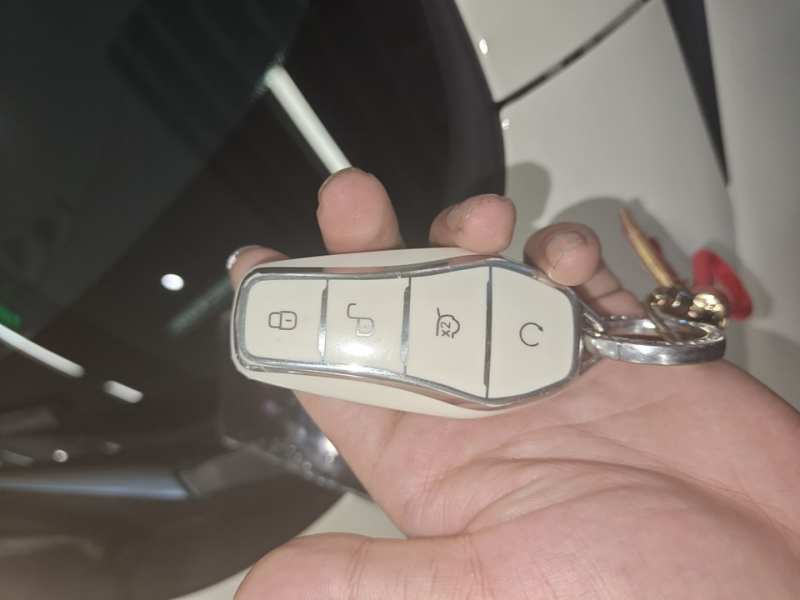 Used BYD Dolphin 2023 420 km Free Version — 8