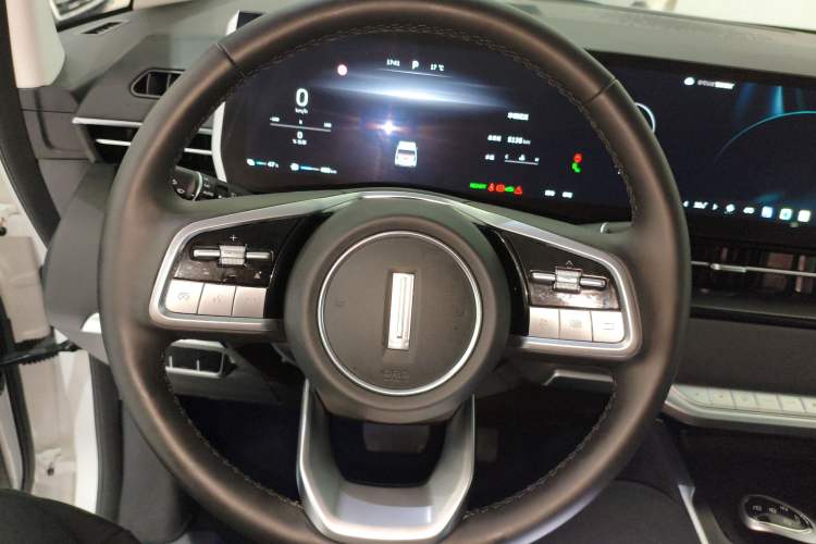 Used Wey Gaoshan 2023 Four-Wheel Drive Flagship Edition
