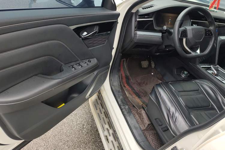 Used Venucia Star 2021 260T Automatic 48V Mild Hybrid Turbocharged Star Achieve Edition Driver Seat