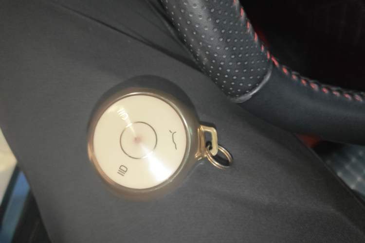 Used NETA V 2022 Long-Range Industry Custom Edition Vehicle Key