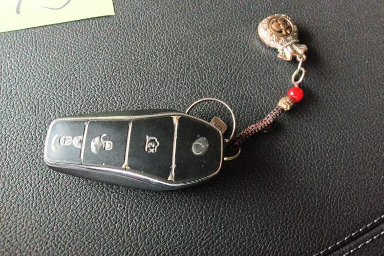 Used BYD Qin PLUS 2024 HONOR Edition DM-i 55KM Leading Model