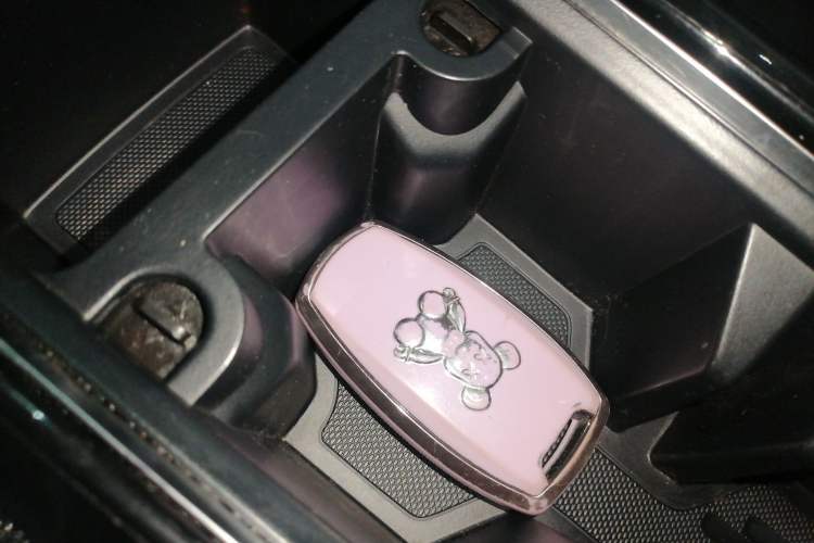 Used Haval DARGO 2021 2.0T DCT 4x4 Chinese Rural Dog Edition