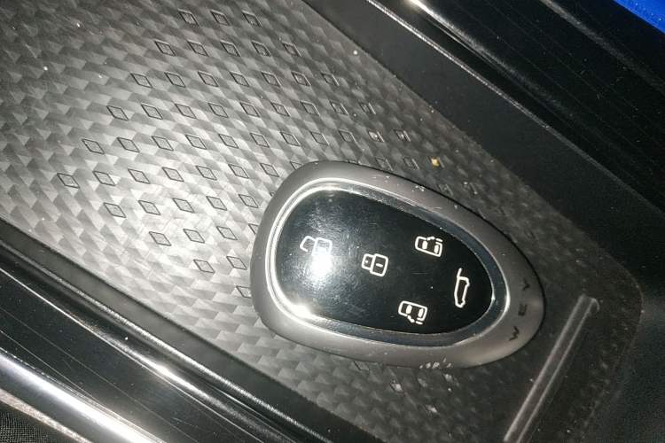 Used Wey Gaoshan 2023 Four-Wheel Drive Premium Edition