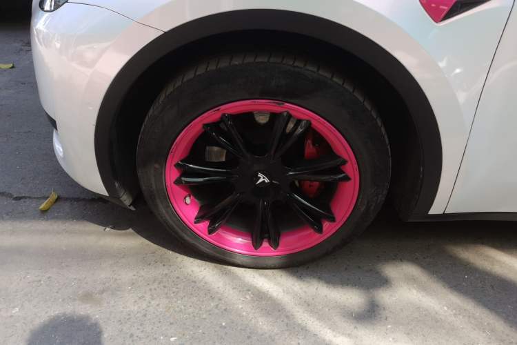 Used Tesla Model Y 2022 Rear-Wheel-Drive Version