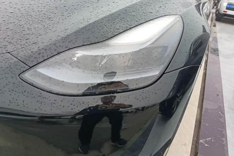 Used Tesla Model Y 2021 Performance High-Performance All-Wheel-Drive Version
