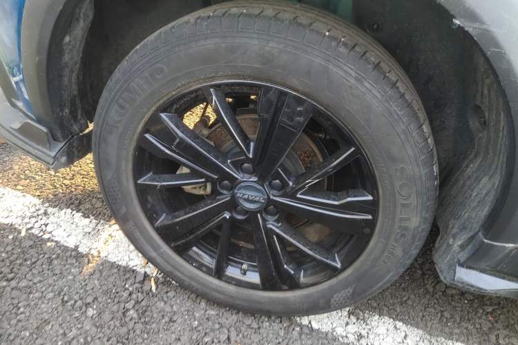 Used Haval LHERY 2021 High-Performance Version 1.5T Golden Rabbit