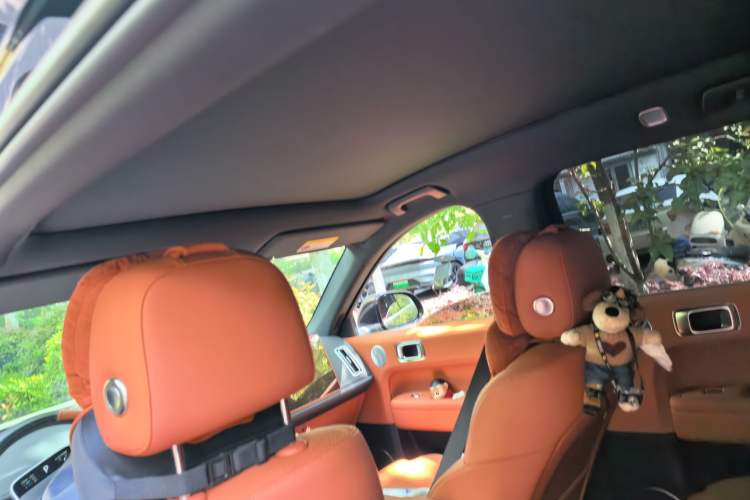 Used Li Auto L6 2024 Max
