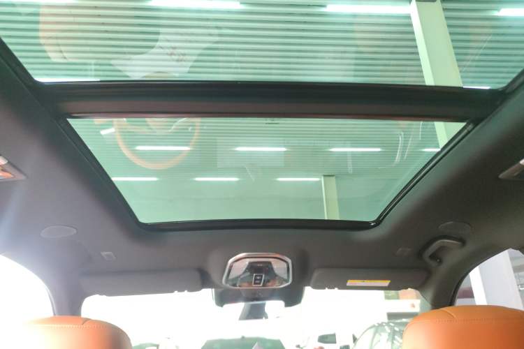 Used Wey Lanshan 2023 Four-Wheel Drive Ultra-Long Range Version Headliner