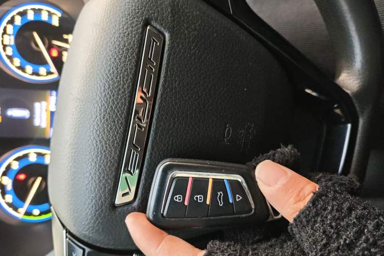 Used Venucia D60EV 2020 Standard Range T3
