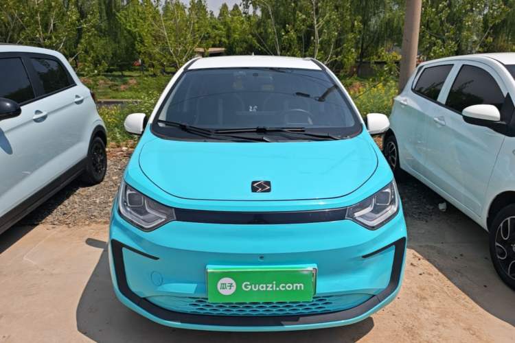 Used SOL E10X 2022 Flower Fairy Design Sunflower Front