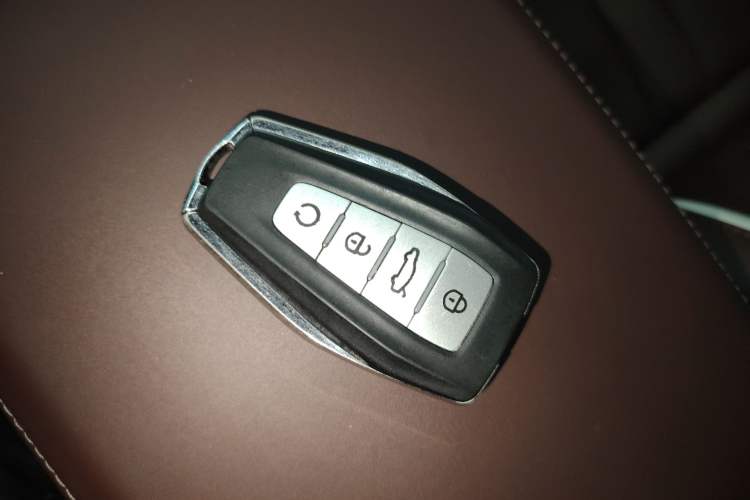 Used Geely Auto Monjaro L 2021 2.0TD DCT EVO Two-Wheel Drive Prestige Version