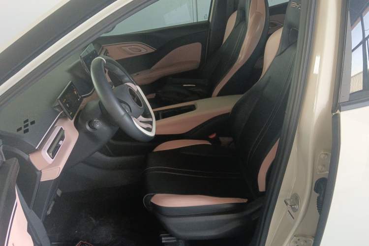 Used BYD Seagull 2024 Honor Edition 305km Dynamic Version Left Front Seat