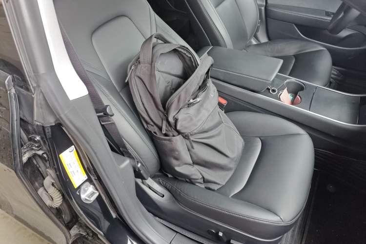 Used Tesla Model 3 2020 Standard Range Rear-Wheel Drive Upgraded Version