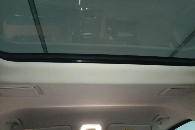 Used Hongqi HQ9 PHEV 2024 2.0T Four-Wheel Drive Luxury Edition Headliner