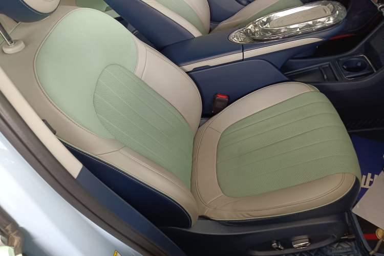 Used ORA Ballet Cat 2022 401 km Nutcracker Edition Right Front Seat