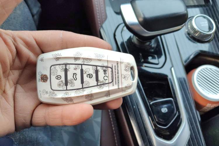 Used Geely Auto Monjaro L 2021 2.0TD DCT EVO Two-Wheel Drive Prestige Version