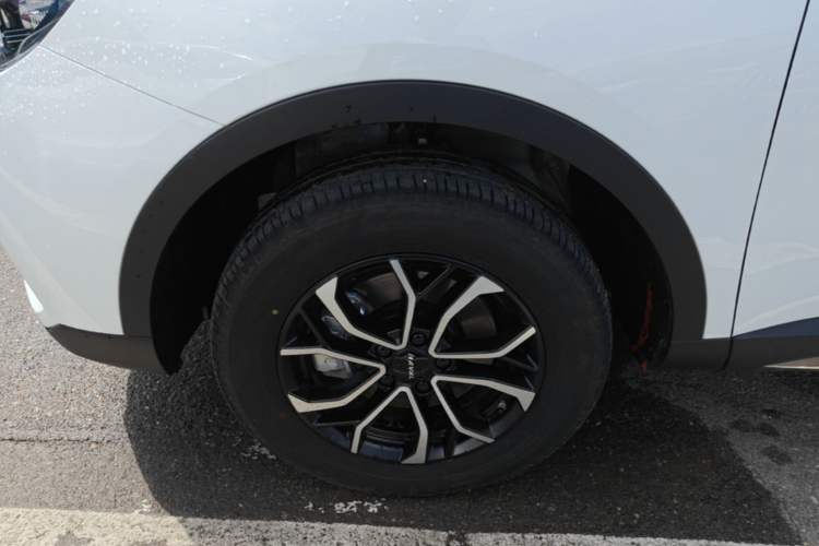 Used Haval H6 2023 National Trend Edition 1.5T Automatic Urban Version