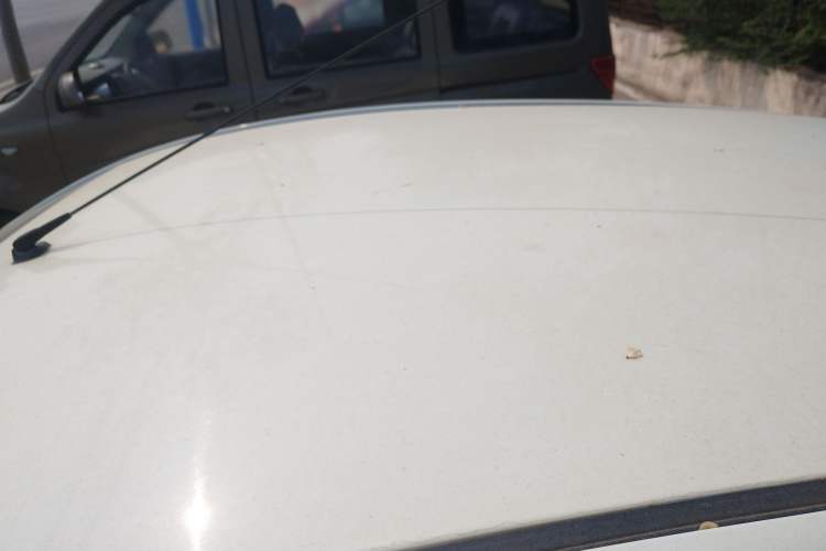 Used BYD F0 2012 1.0L XuanKu Trim Roof