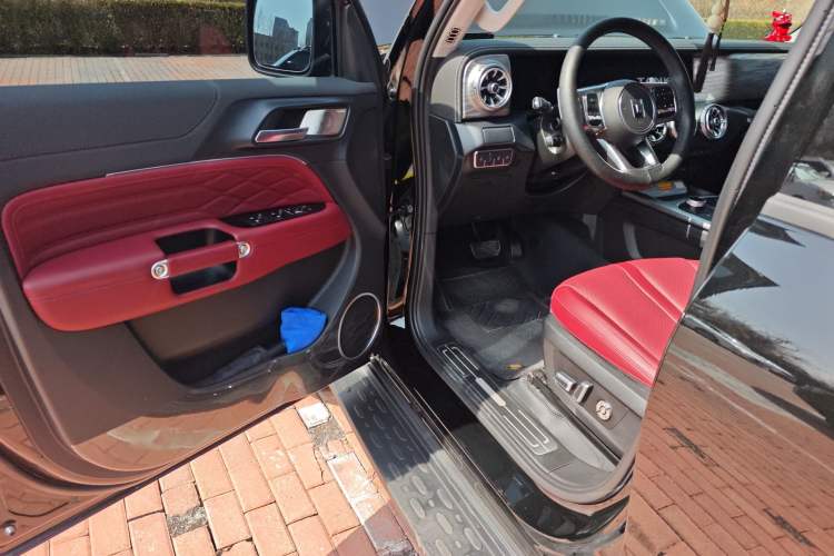 Used Tank 300 2024 2.0T Conqueror