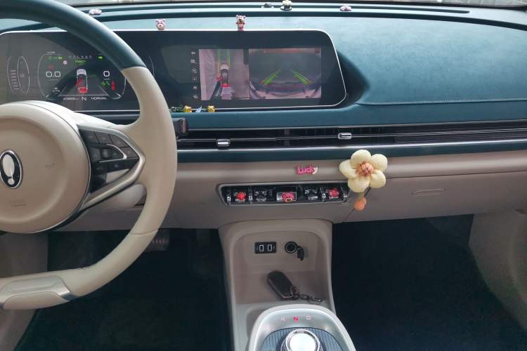 Used ORA Good Cat 2021 400km Standard Range Athena Edition Lithium-Ion Battery
