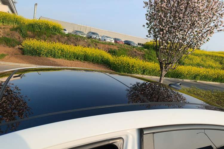 Used Hyundai Mistra 2019 1.8L Automatic Smart GLS Commemorative Model China VI Standard