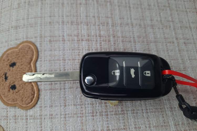 Used Qiyuan Lumin 2022 155 km – Refreshingly Sweet Edition