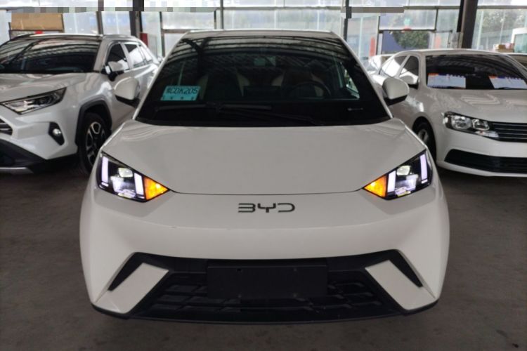 Used BYD Seagull 2024 Honor Edition 305km Freedom Version
