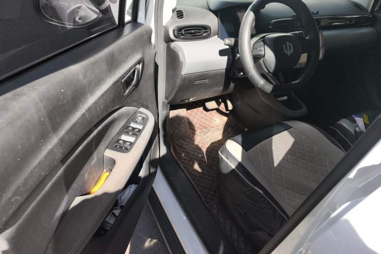 Used Leapmotor T03 2020 400 Standard Edition
