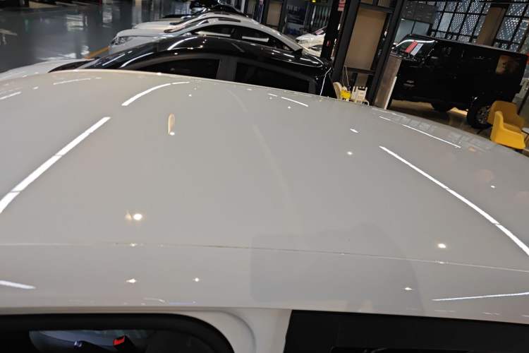 Used Leapmotor T03 2024 200 Lite Edition Roof