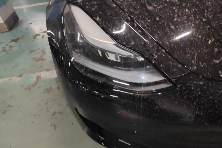 Used Tesla Model 3 2021 Revised Version Standard Range Rear-Wheel Drive Upgraded Edition 3D1