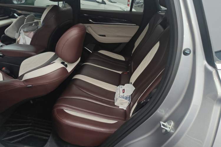 Used Geely Auto Monjaro L 2021 2.0TD DCT EVO Two-Wheel Drive Prestige Version Left Rear Seat