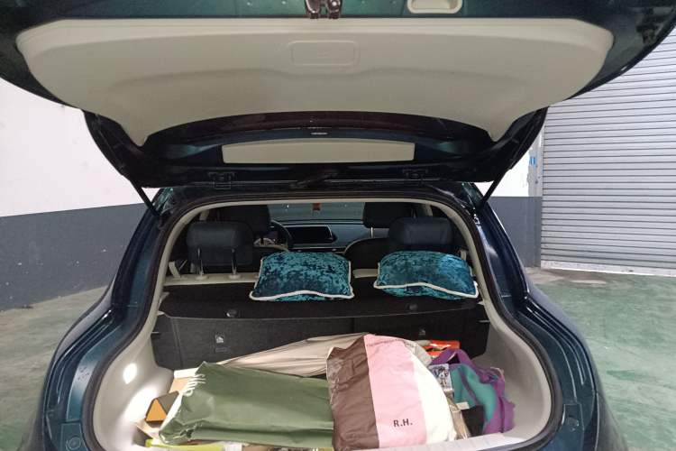 Used ORA Good Cat 2021 400km Standard Range Venus Edition Lithium-Ion Battery
