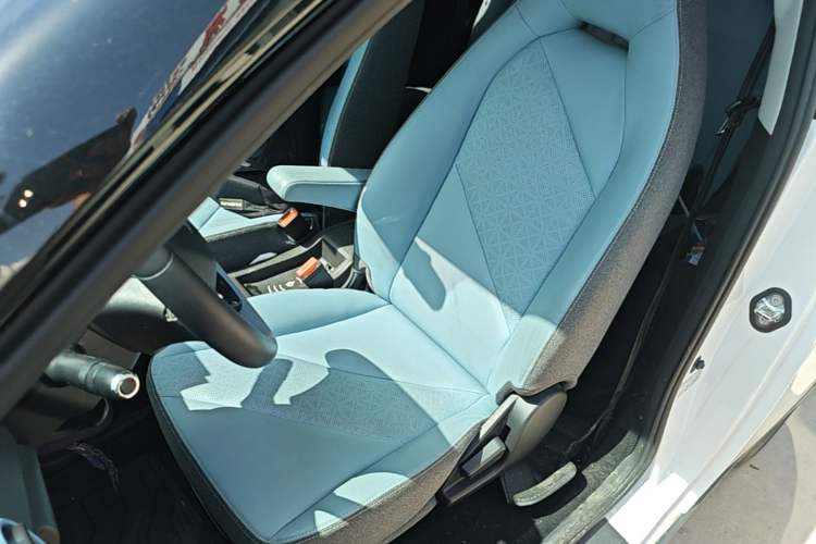 Used Chery Little Ant 2024 251km True Love Edition