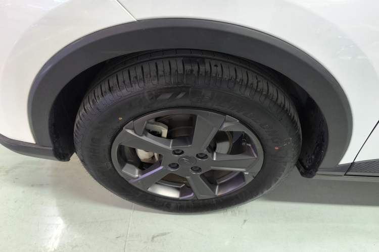 Used Geometry E Firefly 2022 401 km Linglong Tiger 4 Seats