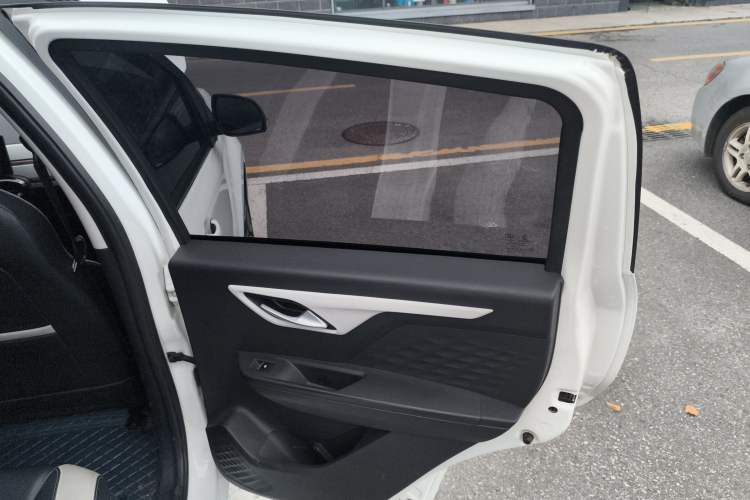 Used SOL E10X 2022 Flower Fairy Style Baby's Breath