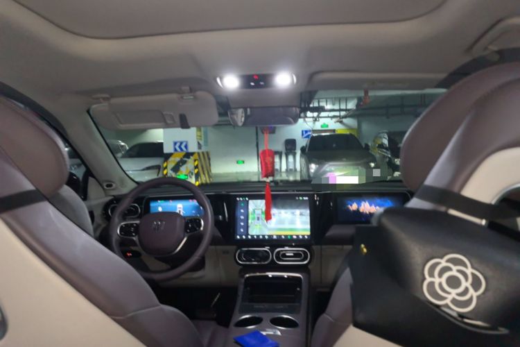 Used Leapmotor C11 2023 Pure Electric 500 Comfort Edition